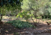 Suelo urbano en venta en la Urbanització Simpatica, Tortosa, ref: TR5156 foto