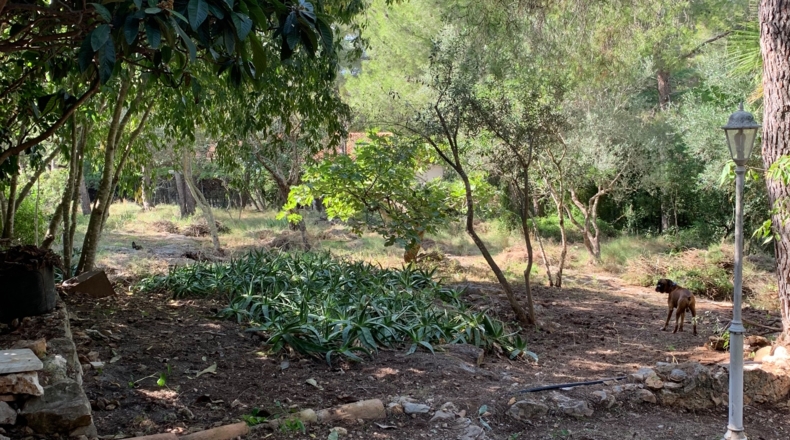 Tarragona - Tortosa - 2300m2
