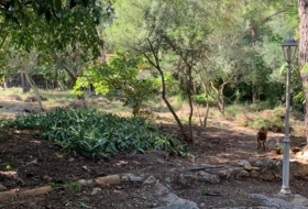 Foto 13