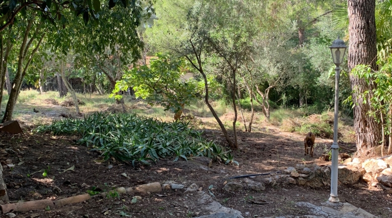 Tarragona - Tortosa - 2300m2