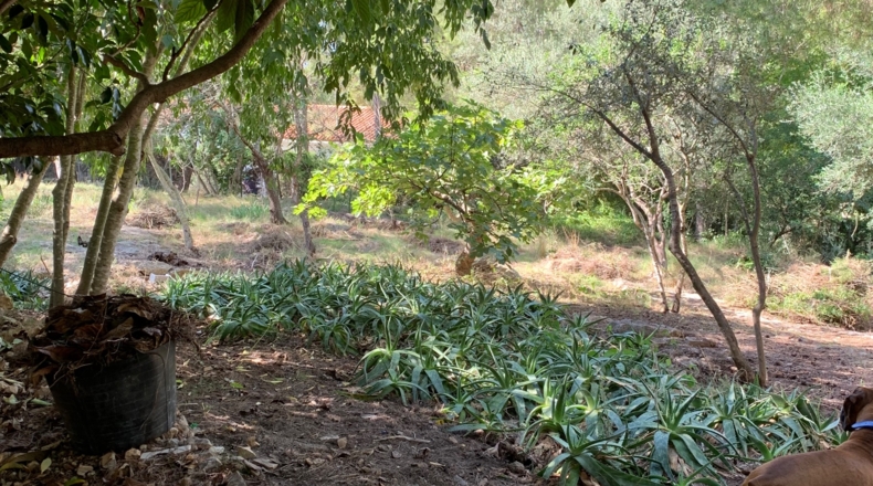 Tarragona - Tortosa - 2300m2