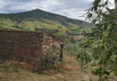 Rural estate for sale on Carretera, Villanueva de la Sierra, ref: TR56979 photo