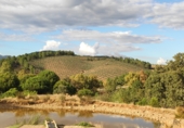 Rural estate for sale on Carretera, Villanueva de la Sierra, ref: TR56979 photo