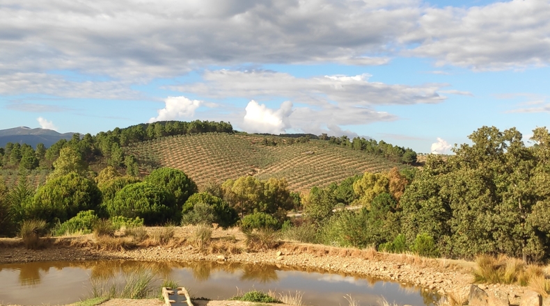 Cáceres - Villanueva de la Sierra - 40000m2