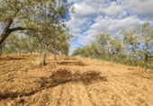 Rural estate for sale on Carretera, Villanueva de la Sierra, ref: TR56979 photo