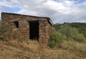 Rural estate for sale on Carretera, Villanueva de la Sierra, ref: TR56979 photo