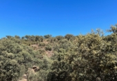 Non-developable land for sale on Mono, Salvatierra de Tormes, ref: TR56974 photo