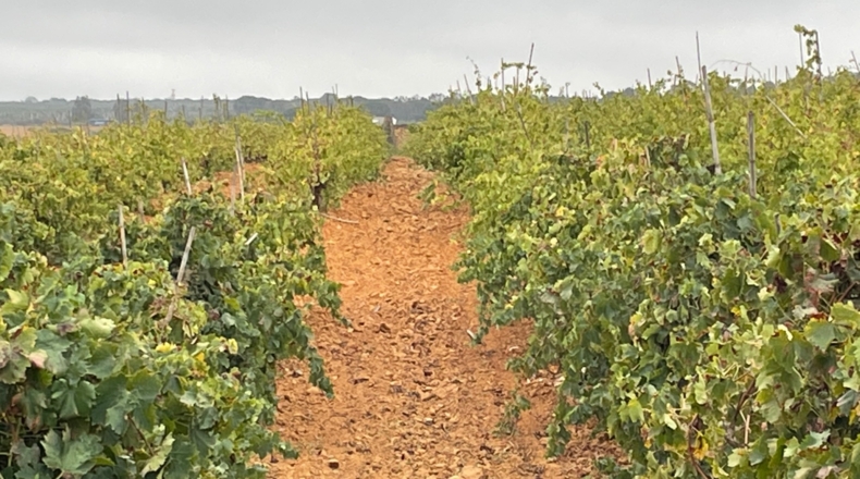 Huelva - Villalba del Alcor - 21193m2