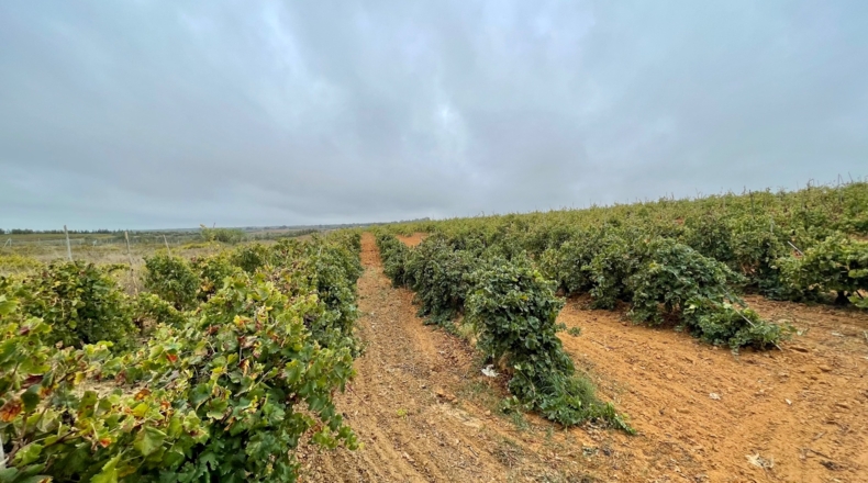 Huelva - Villalba del Alcor - 21193m2