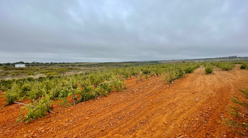 Huelva - Villalba del Alcor - 21193m2