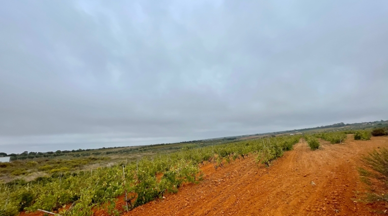 Huelva - Villalba del Alcor - 21193m2