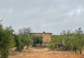 Земля, подлежащая урбанизации на продажу у города Villalba del Alcor Фото