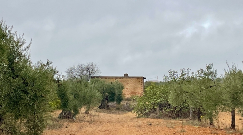 Huelva - Villalba del Alcor - 21193m2