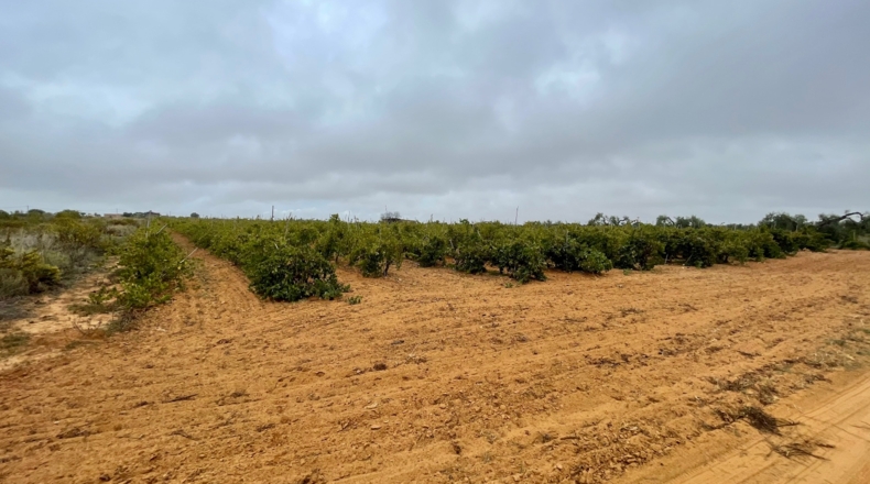 Huelva - Villalba del Alcor - 21193m2
