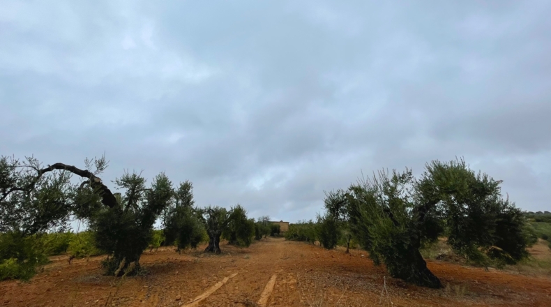 Huelva - Villalba del Alcor - 21193m2
