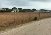 Terreno no urbanizable en venta en la Carril de Pilahito, Conil de la Frontera, ref: TR57407 foto