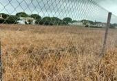 Terreno no urbanizable en venta en la Carril de Pilahito, Conil de la Frontera, ref: TR57407 foto