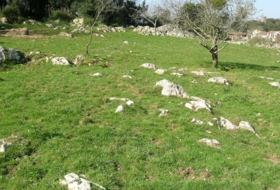 Piedra 1000&nbsp;m² 