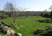 Sòl urbà en venda a la Quintana, Piedra, ref.: TR57458 foto