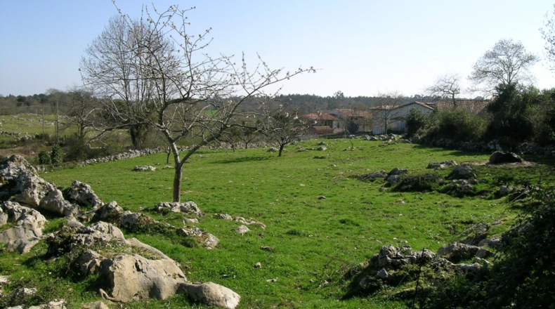 Asturias - Piedra - 754m2