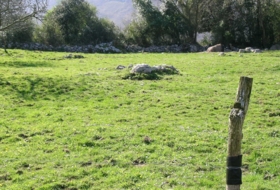Piedra 1000&nbsp;m² 