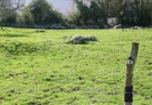 Sòl urbà en venda a la Quintana, Piedra, ref.: TR57458 foto