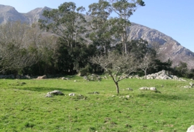 Piedra 1000&nbsp;m² 