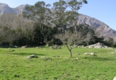 Sòl urbà en venda a la Quintana, Piedra, ref.: TR57458 foto