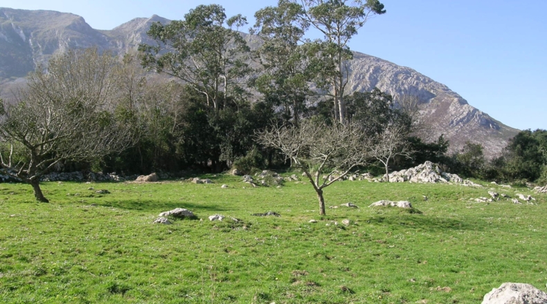 Asturias - Piedra - 754m2