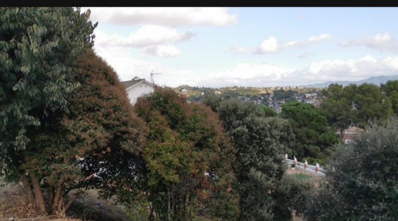 Barcelona - Palaudalba - 547m2