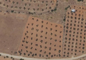 Terreno no urbanizable en venta en la Las Calderonas, Alange, ref: TR57791 foto