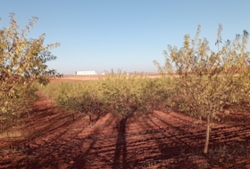 Villanueva de los Infantes 51200&nbsp;m² 