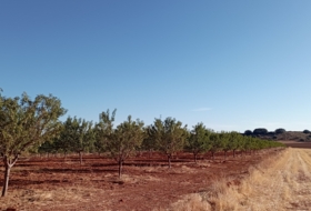 Montiel 57100&nbsp;m² 