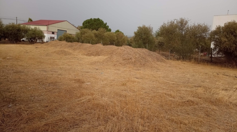 Córdoba - Córdoba - 1000m2