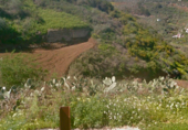 Land with storage building for rent on Lomo del Peñon, ref: TR57795 photo