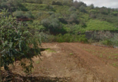 Land with storage building for rent on Lomo del Peñon, ref: TR57795 photo