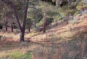 Navas del Rey 1000&nbsp;m² 