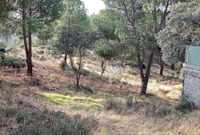Navas del Rey 1000&nbsp;m² 
