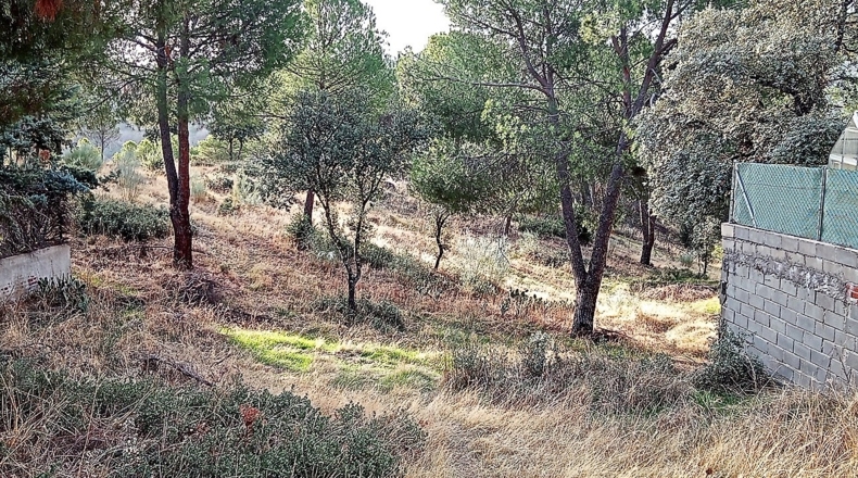 Comunidad de Madrid - Navas del Rey - 1000m2