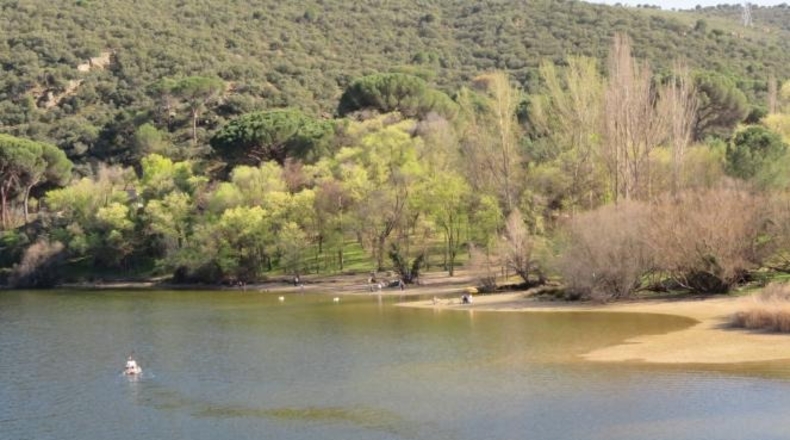 Comunidad de Madrid - Navas del Rey - 1000m2