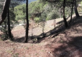 Parcel·la urbanitzable en venda a la Av. Joan Miro 85, Seva, ref.: TR58323 foto