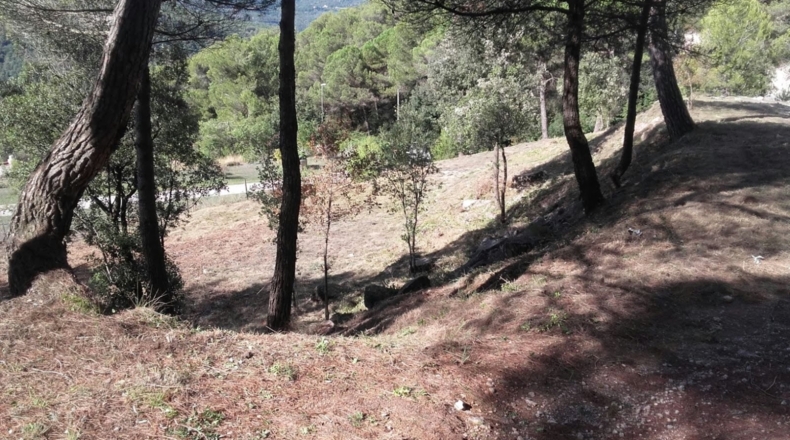 Barcelona - Seva - 1800m2