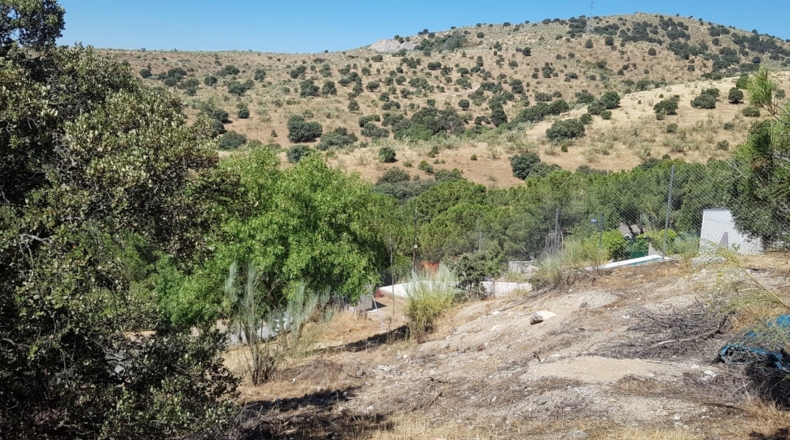 Comunidad de Madrid - Las Cuestas - 2190m2