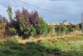 Zaragoza 2200&nbsp;m²
