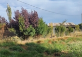 Edificio en obra en venta en la Camino Santa Pau, Zaragoza, ref: TR58649 foto