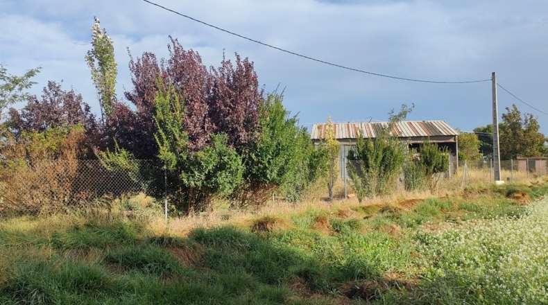 Zaragoza - Zaragoza - 2200m2