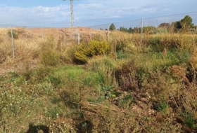 Zaragoza 2200&nbsp;m²