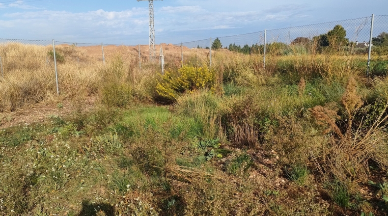 Zaragoza - Zaragoza - 2200m2