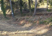 Urban land for sale on Avinguda de Maristany, Sant Quintí de Mediona, ref: TR59121 photo