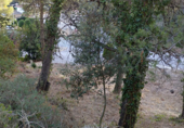 Urban land for sale on Avinguda de Maristany, Sant Quintí de Mediona, ref: TR59121 photo